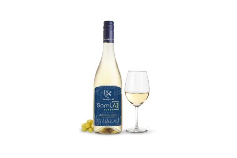 SomlAI Cuvée ’21
